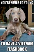 Image result for Vietnam Dog Meme