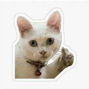 Image result for Thumbs Up Meme Sticker