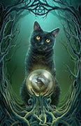 Image result for Cat Sees Ghost