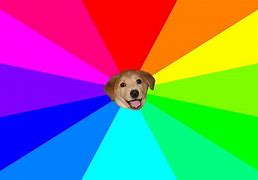 Image result for Rainbow Meme Wallpaper