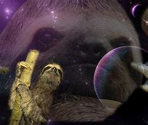 Image result for Sloths with Sunglasses in Space