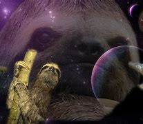 Image result for Space Sloth Wallpaper