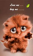 Image result for Funny Pet Animals Cats