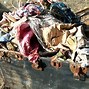 Image result for Rotten Clothes