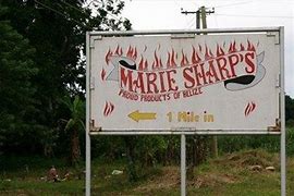 Image result for Entrpreneurs in Belize Marry Sharp
