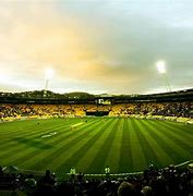 Image result for Cricket Ground HD