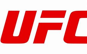Image result for UFC