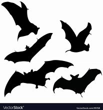 Image result for Vector Bat Right Side View