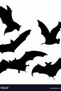 Image result for Flying Bats Vector