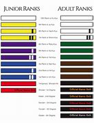 Image result for Levels of Karate Belt Colors