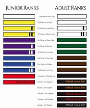 Image result for Martial Arts Belt Colors