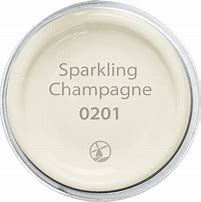 Image result for Champagne Color Swatch