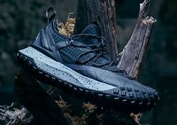 Image result for Nike ACG Sneakers