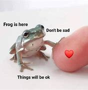 Image result for I Got Too Silly Frog Meme