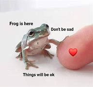 Image result for Green Frog Hit Oxy Meme