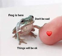 Image result for Frog Meme with Word