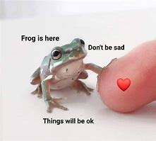 Image result for British Frog Meme