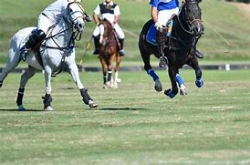 Image result for Polo or Horse Ball