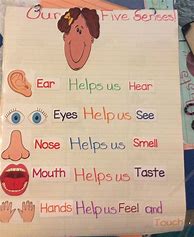 Image result for Five Senses Centers Preschool