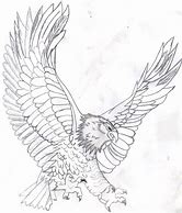 Image result for Egles Drawing