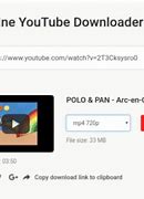 Image result for How to Use the YouTube Downloaders