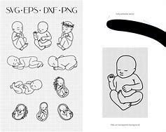 Image result for Unborn Baby SVG Animation