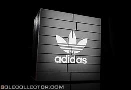 Image result for Adidas Derrick Rose