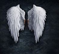 Image result for Bloody Angel Wings Art