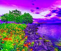 Image result for Nature Wallpaper for PC HD Full Screen