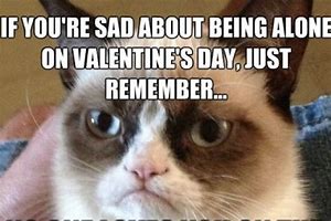 Image result for Hilarious Valentine's Day Memes