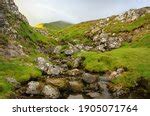 Image result for Spring Force Test