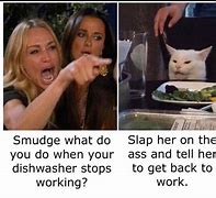 Image result for Inappropriate Funny Cat Memes