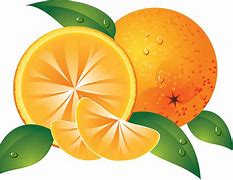 Image result for 2 Oranges Clip Art