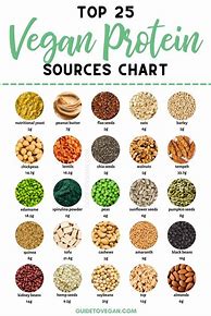 Image result for Vegan Protein Sources List