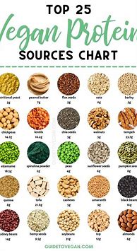 Image result for Vegetarian Protein Sources