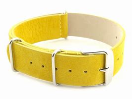 Image result for White Dial Watch Nato Strap