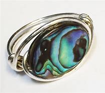Image result for Bird Ring Abalone