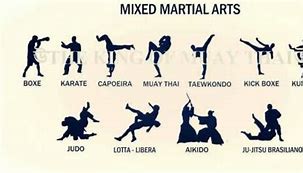 Image result for All Karate Fighting Styles