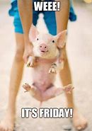 Image result for Happy Monday Pig