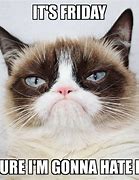 Image result for Grumpy Cat Friday Meme