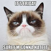 Image result for Grumpy Cat TGIF Meme