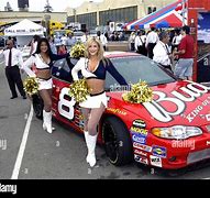 Image result for Budweiser Racing Team