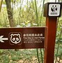 Image result for Panda Sanctuary China