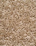 Image result for rugs
