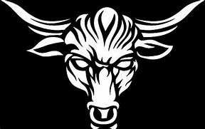 Image result for WWE The Rock Brahma Bull Logo