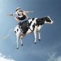 Image result for Funny Cow Print Background