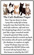 Image result for Cats Bedtime Prayer