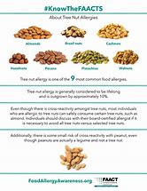 Image result for Food Allergy Tree Nut Images