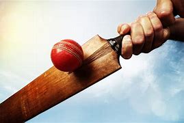 Image result for Cricket Bat Ball Images