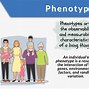Image result for Phenotypic Trait
